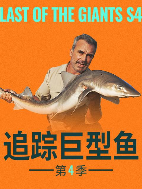 追踪巨型鱼 第四季 封面