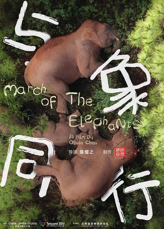 与象同行 封面