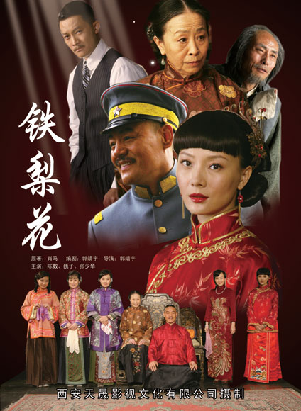 铁梨花 封面